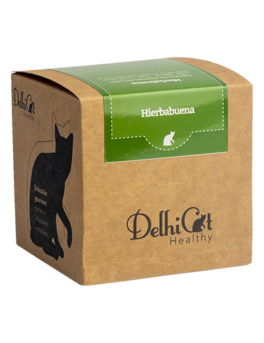 DelhiCat Healthy hierbabuena